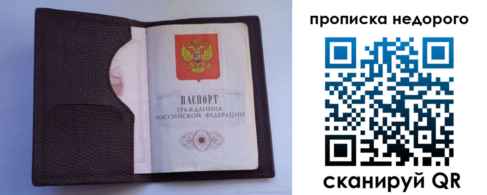 прописка законно в Лесозаводске